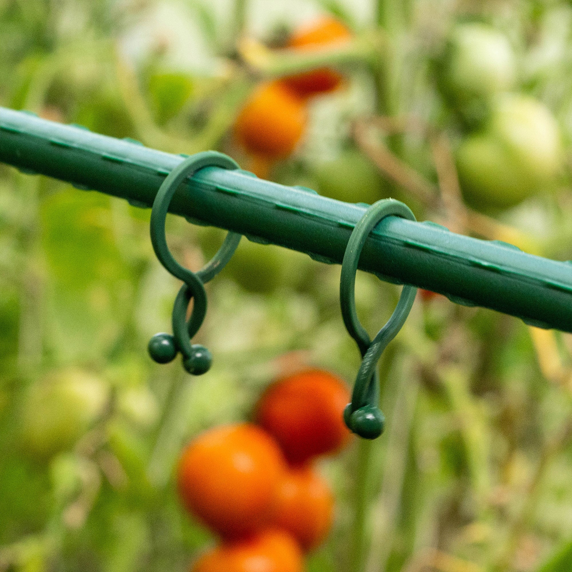 PLANT CLIPS 13mm TOMATO CLIPS FASTENING 50pcs BEANS Number of pieces 50 pcs