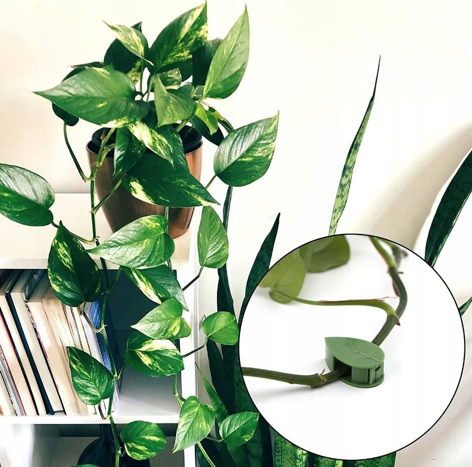 PLANT CLIPS CLASPS FOR FIXING CABLE CREEPERS CLIPS WALLS 50 PCS Packaging status original