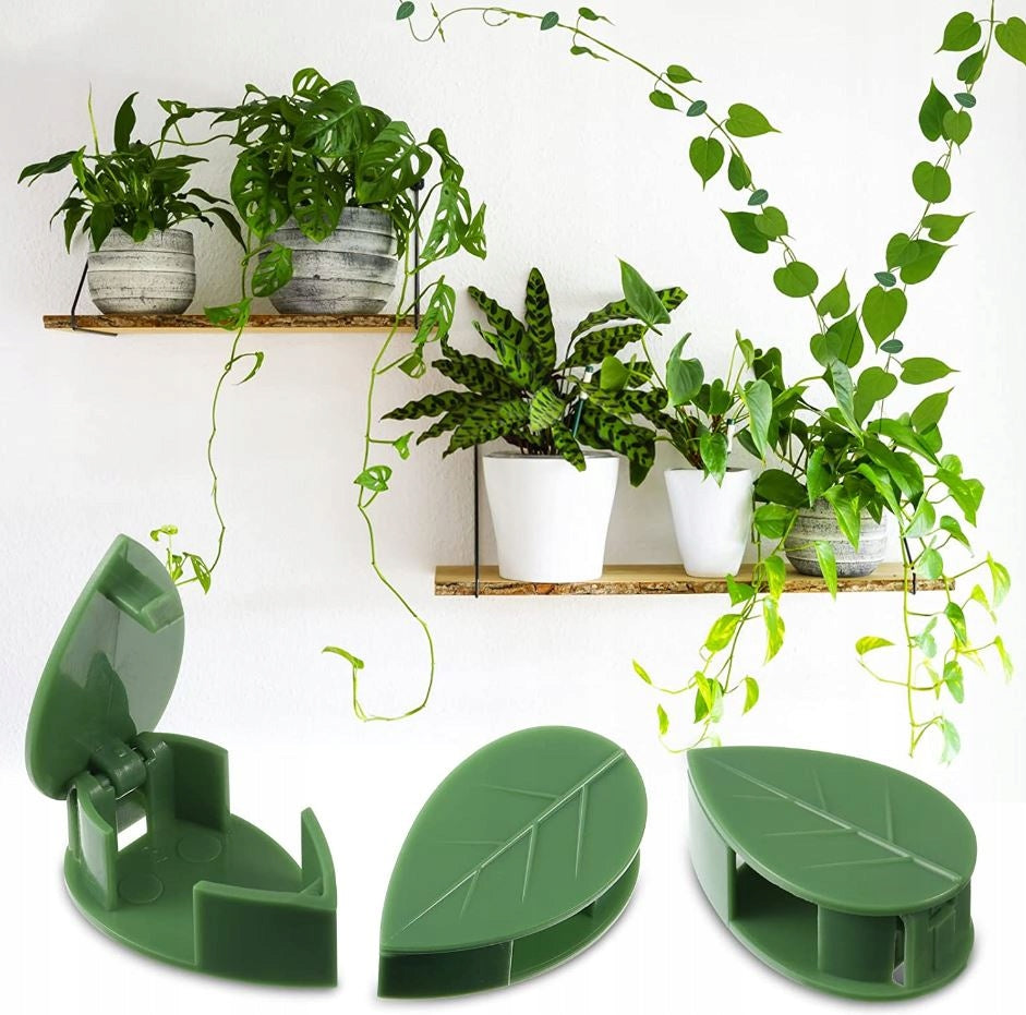 PLANT CLIPS CLASPS FOR FIXING CABLE CREEPERS CLIPS WALLS 60 PCS EAN (GTIN) 0797591194507