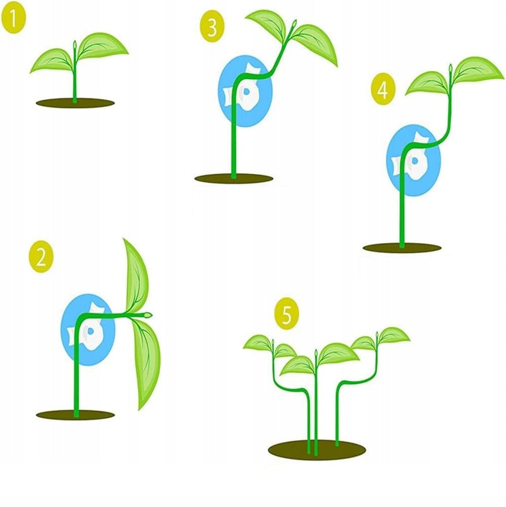 PLANT CLIPS Set of 60 Pcs For Stem Shoots Garden Fastening Brand no brand