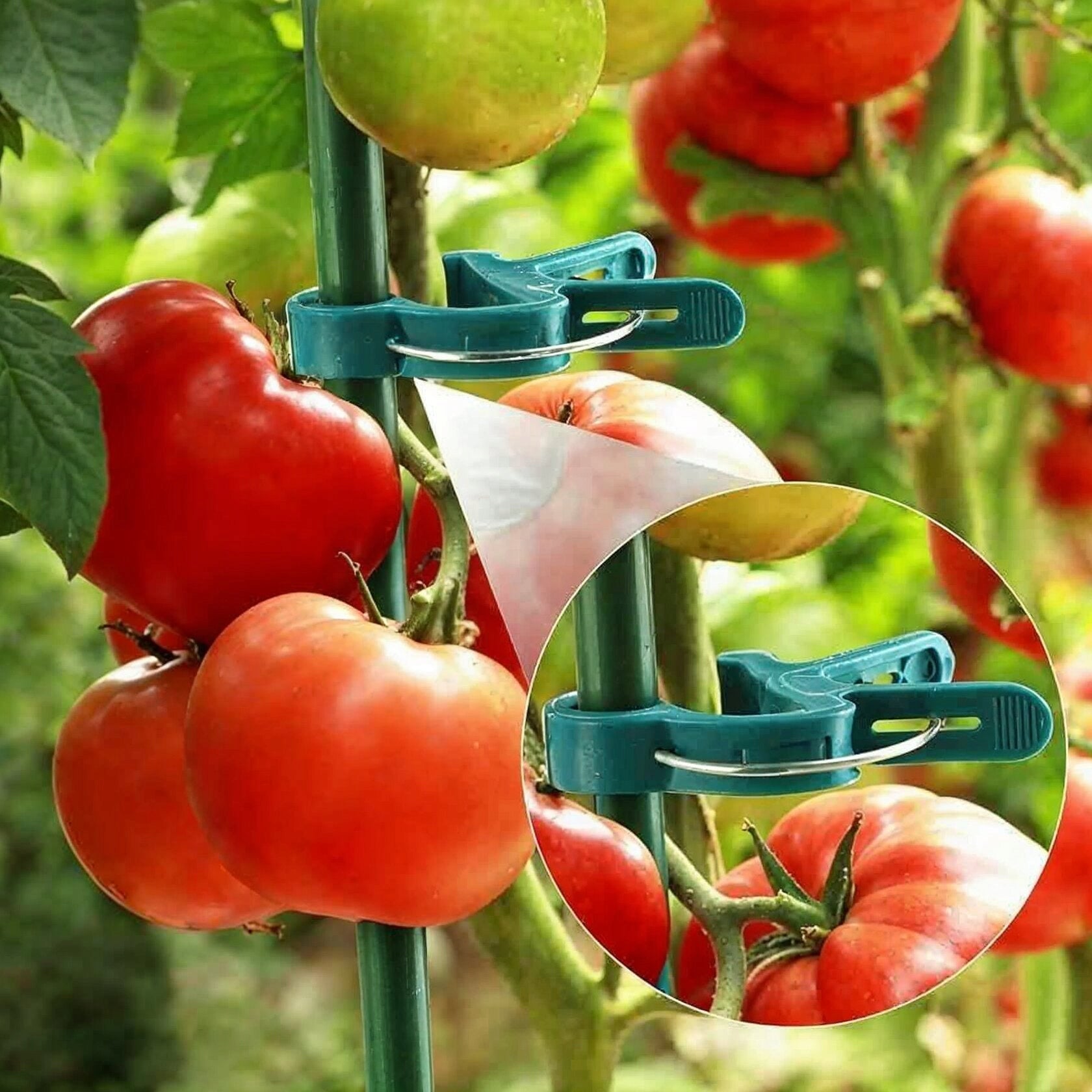 PLANT CLIPS TOMATO CLIPS STEM SHOOTS GARDEN PAPER CLIPS 20 PIECES Manufacturer code 20 SPINACZY OGRODOWYCH DO PĘDÓW TYCZEK