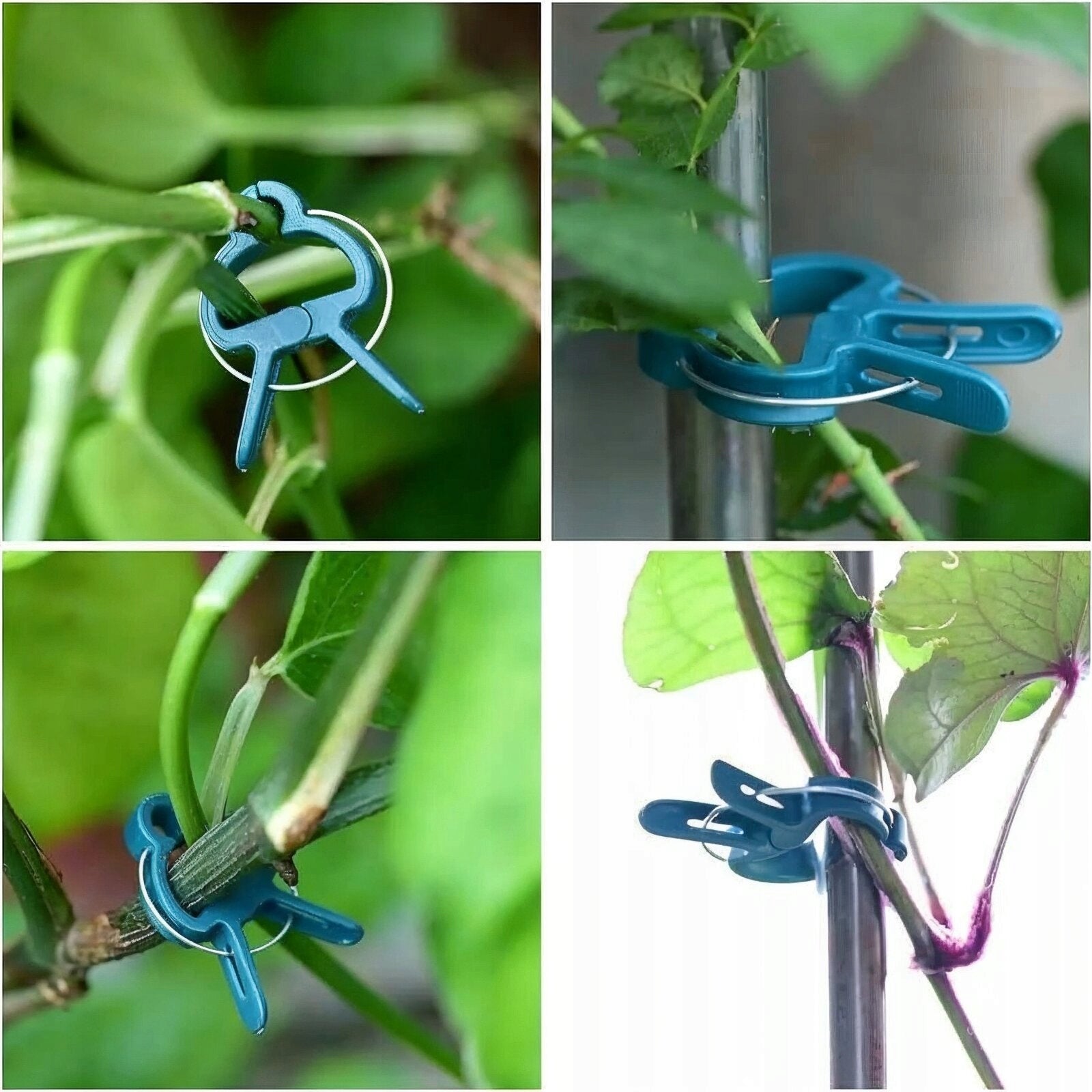 PLANT CLIPS TOMATO CLIPS STEM SHOOTS GARDEN PAPER CLIPS 20 PIECES Packaging status original