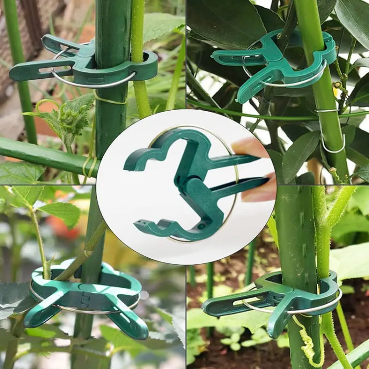PLANT CLIPS stem clasp holders - 20PCS green TWO SIZES Manufacturer code zielone