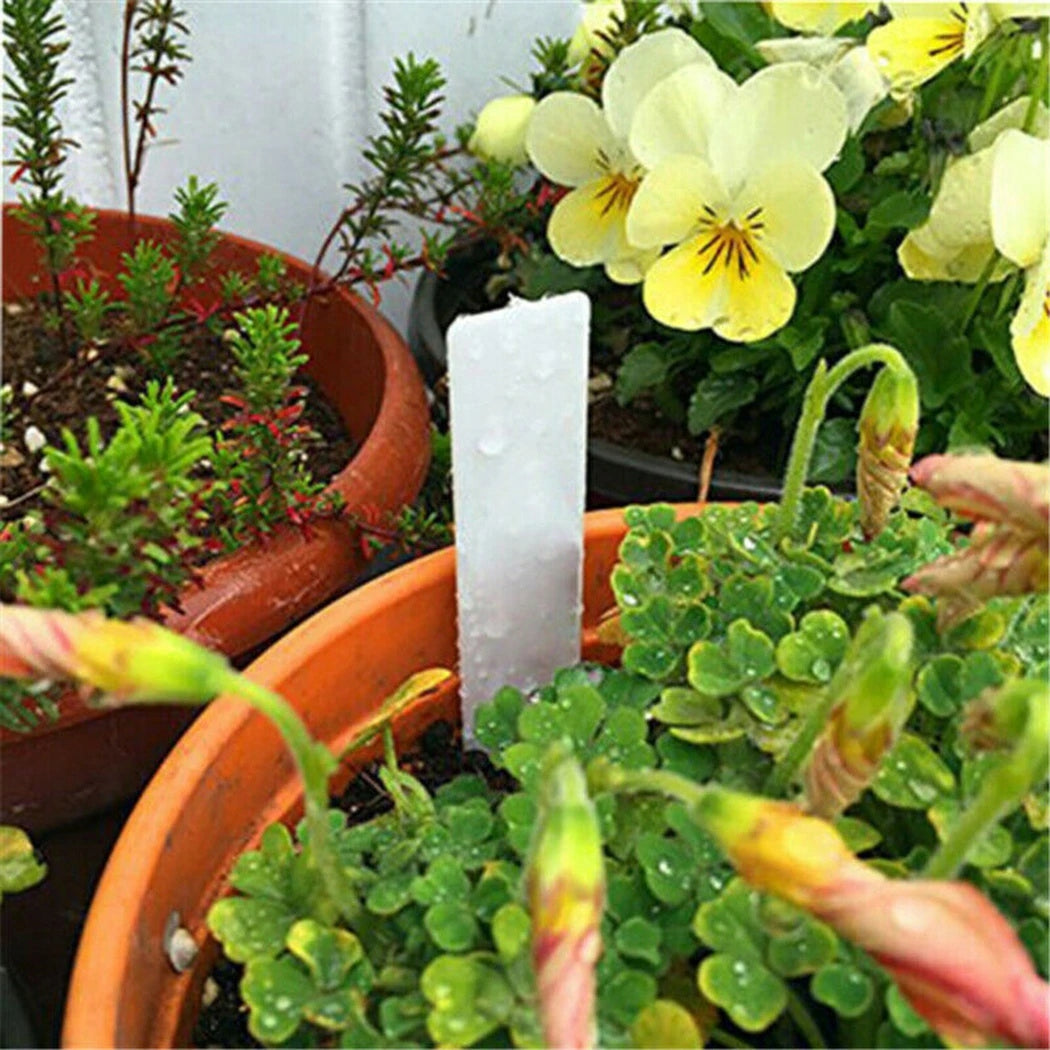PLANT MARKERS PLASTIC PVC PLUG-IN PLATES LABELS 100 pcs Dominant material plastic