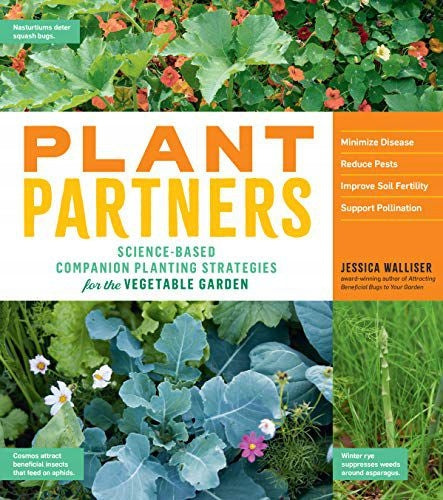 Pflanzenpartner: wissenschaftlich fundierte Begleitpflanzstrategien für den Gemüsegarten 