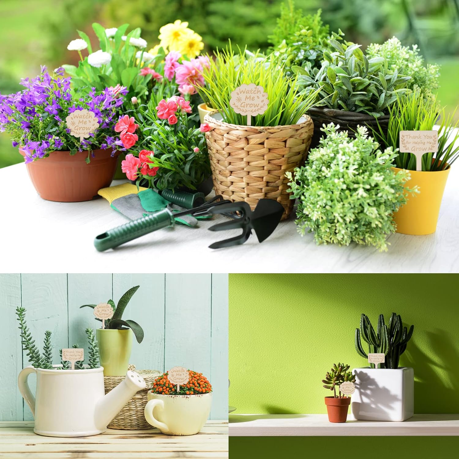 PLANT PLATES WOODEN GARDEN MARKERS WITH INSCRIPTIONS SET OF 30PCS Packaging status original