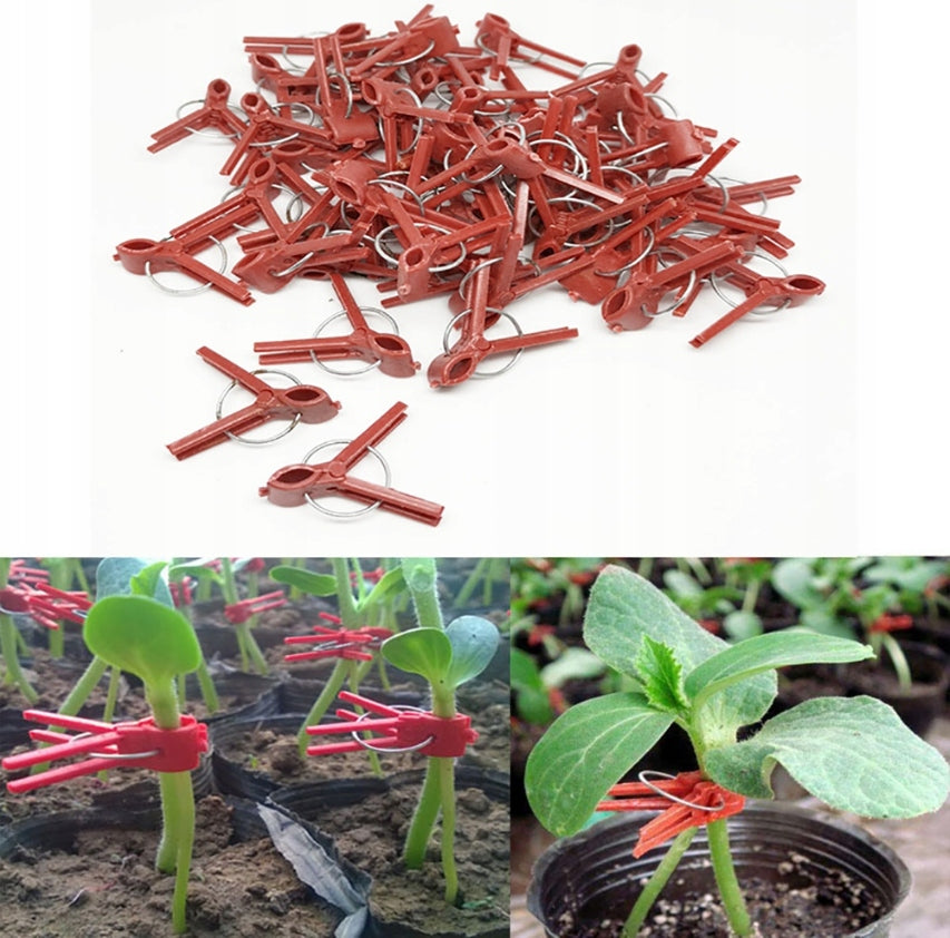 PLANT VACCINATION CLIPS PLASTIC ROUND GARDEN HOLE 100PCS WW Number of pieces 100 pcs