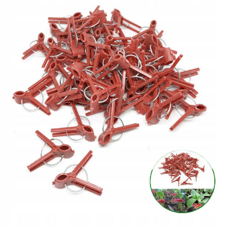 PLANT VACCINATION CLIPS PLASTIC ROUND GARDEN HOLE 100PCS WW