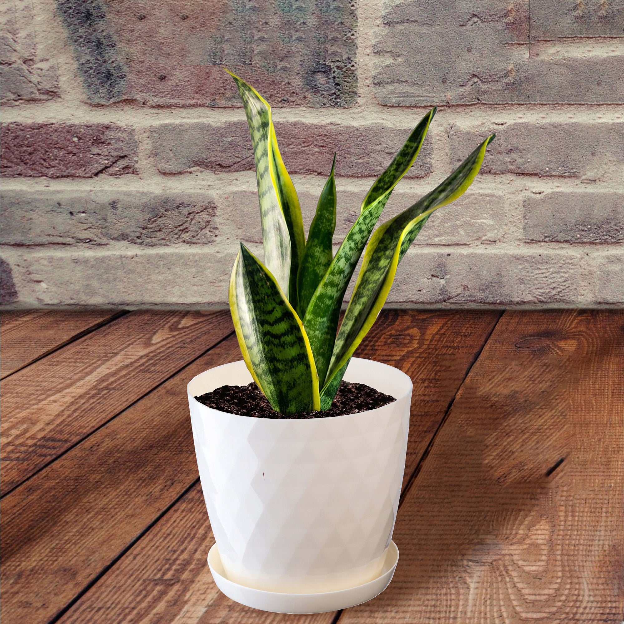 PLASTIC FLOWER POT WITH STAND FLOWER POT COVER 18cm CREAM KADAX Manufacturer code K971
