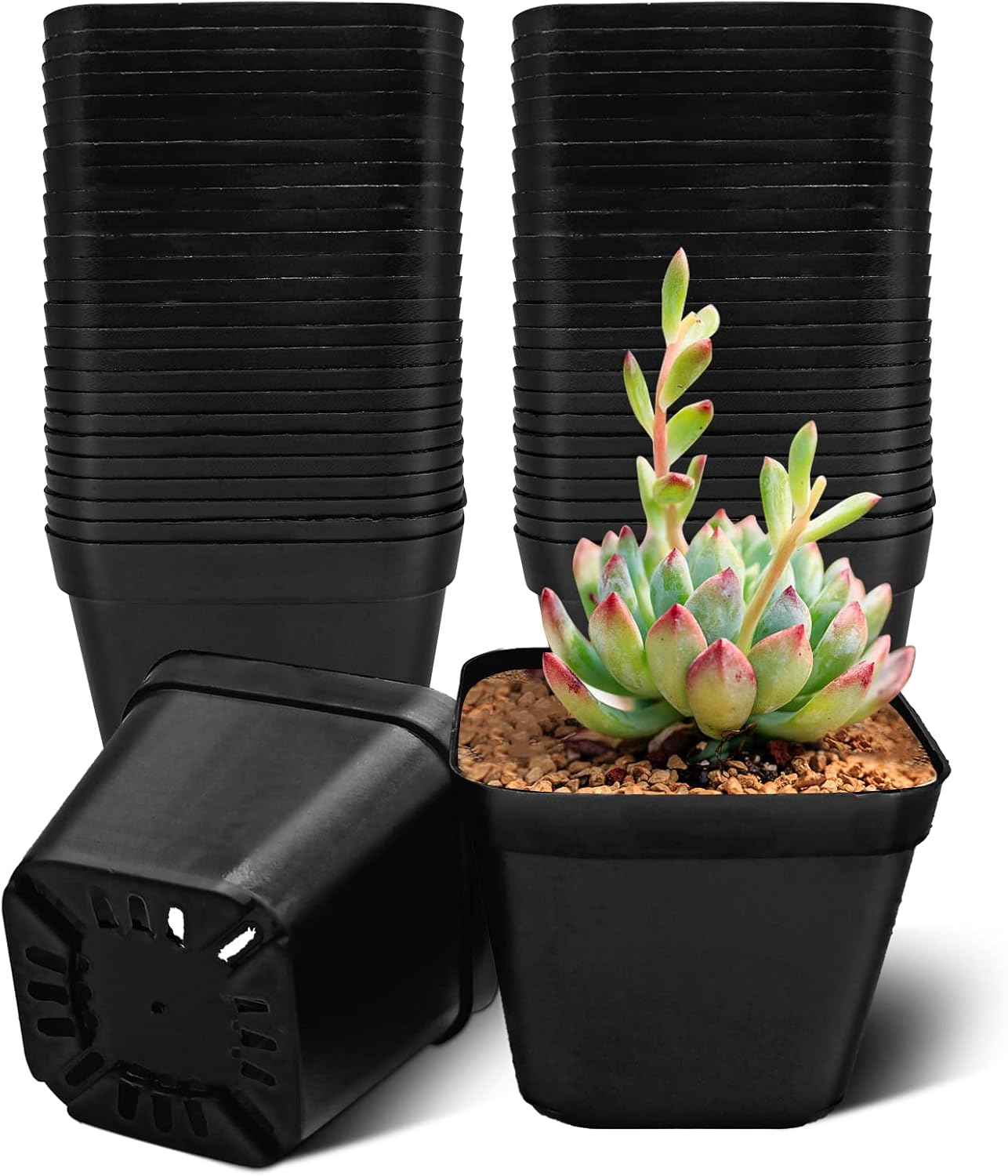 PLASTIC PRODUCTION SEEDLING POTS FOR SQUARE QUILTING 100 PCS Packaging status original