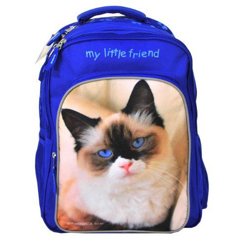 Rucksack für Kinder Disney, blau 