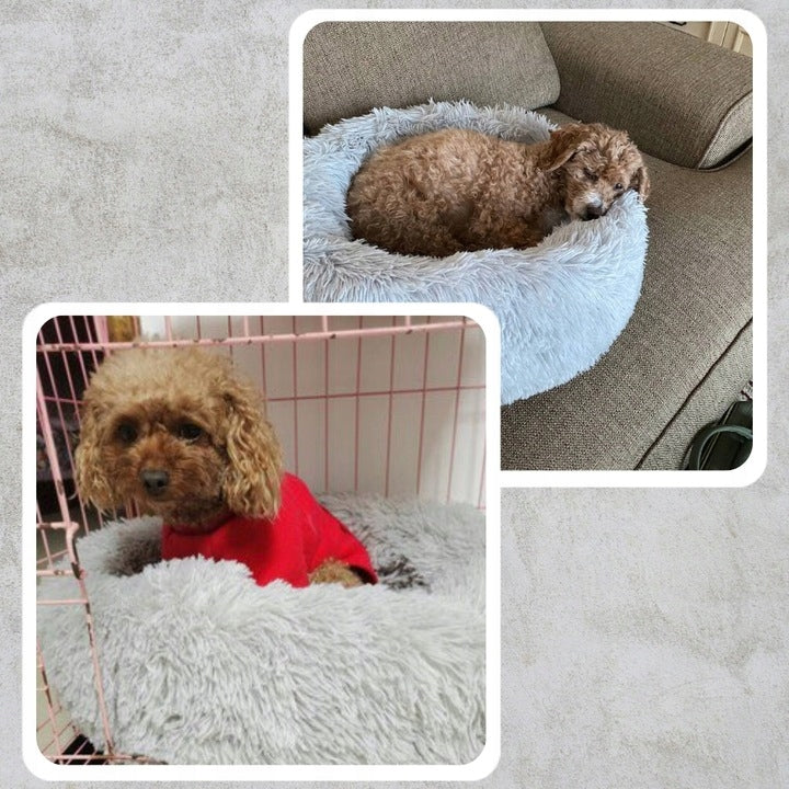 PLUSH CAT DOG BED PLAYPEN PLUSH PILLOW SOFT GREY 60CM Color gray