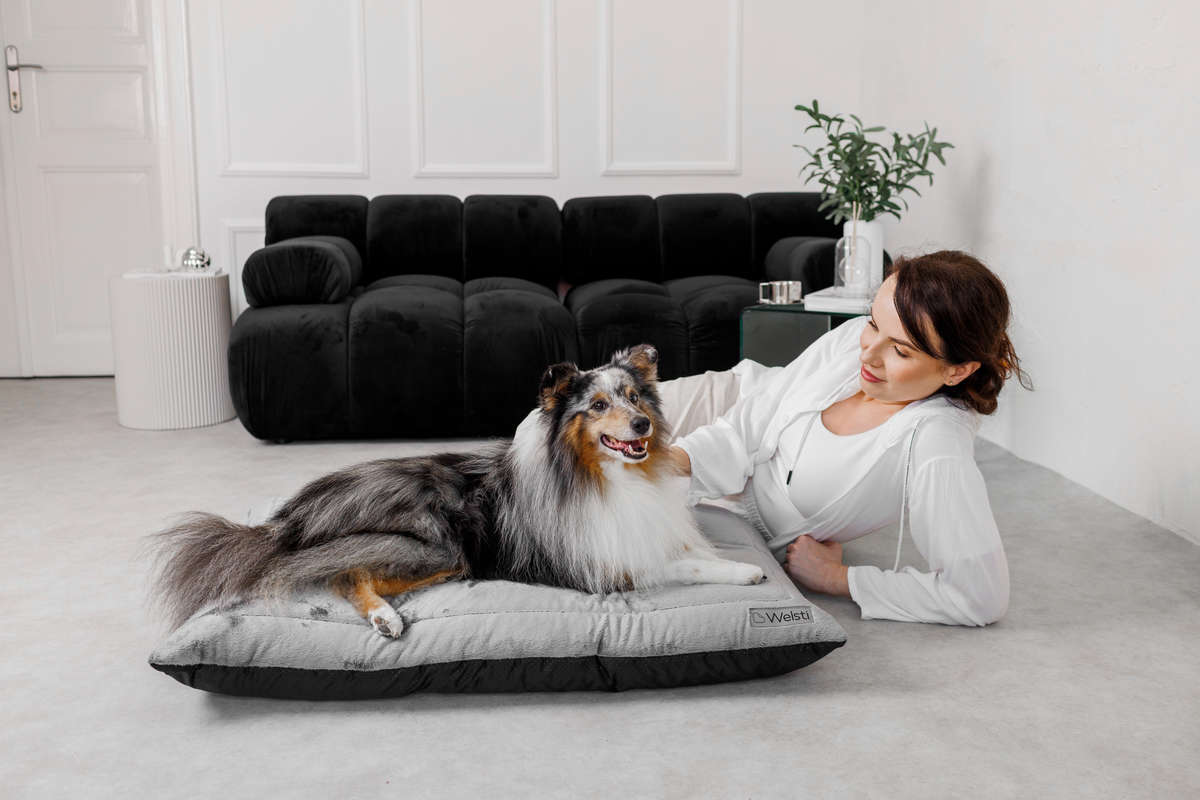 PLUSH dog bed sleeping bed Welsti large 100x70 fluffy warm Brand Welsti