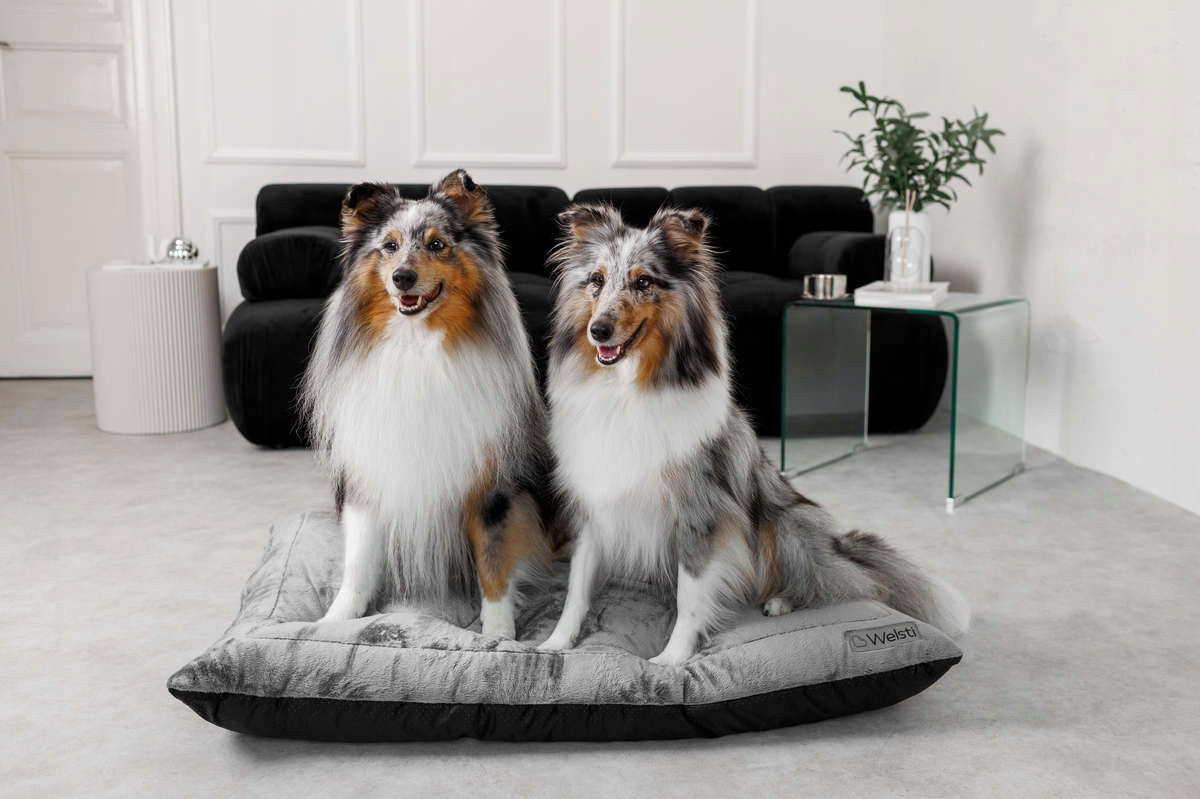 PLUSH dog bed sleeping bed Welsti large 100x70 fluffy warm EAN (GTIN) 5904422502553