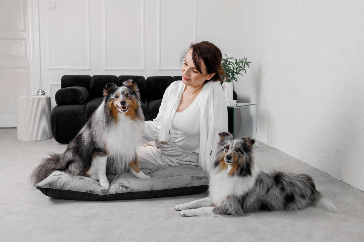 PLUSH dog bed sleeping bed Welsti large 100x70 fluffy warm Length 100 cm
