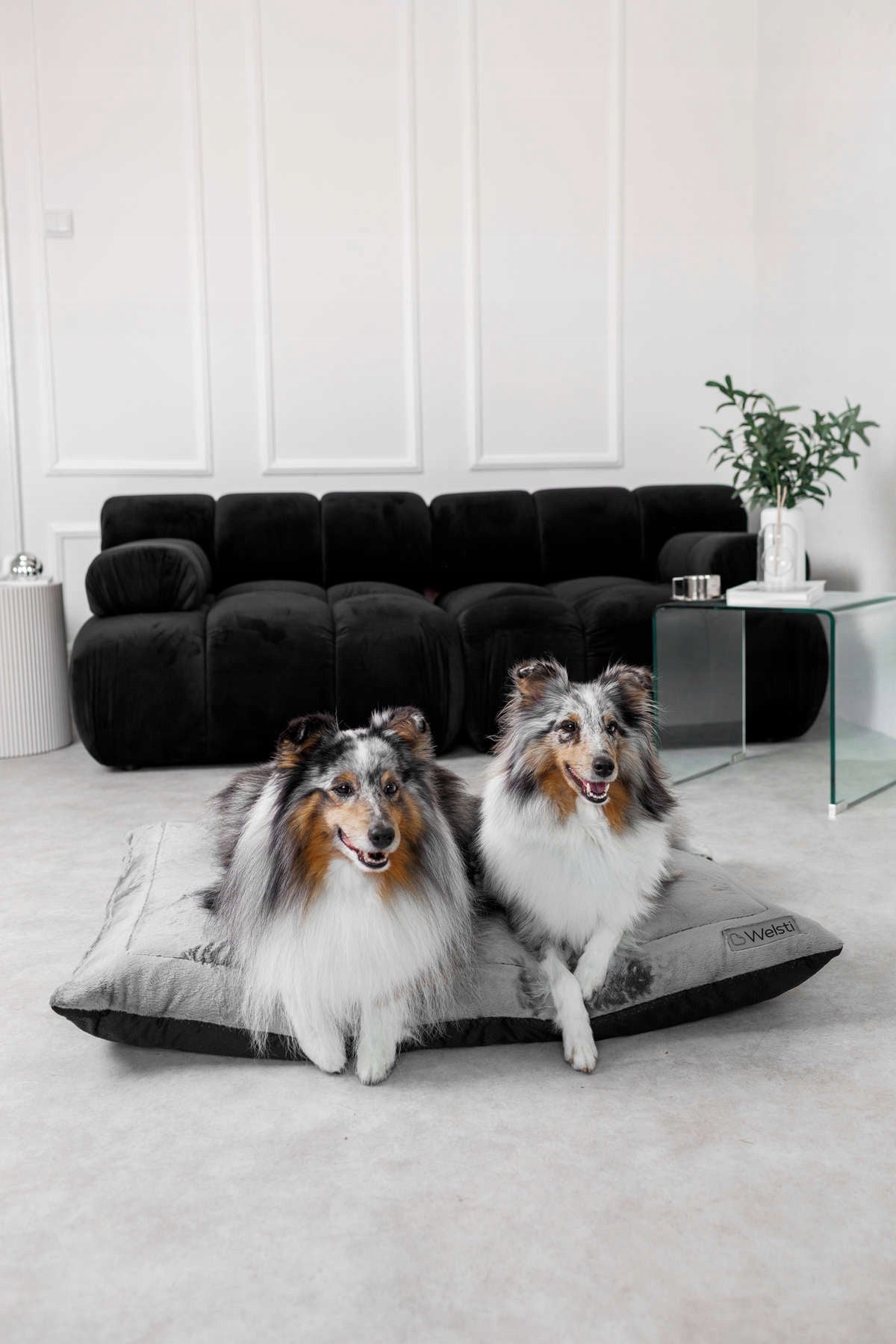 PLUSH dog bed sleeping bed Welsti large 100x70 fluffy warm Product width 70 cm