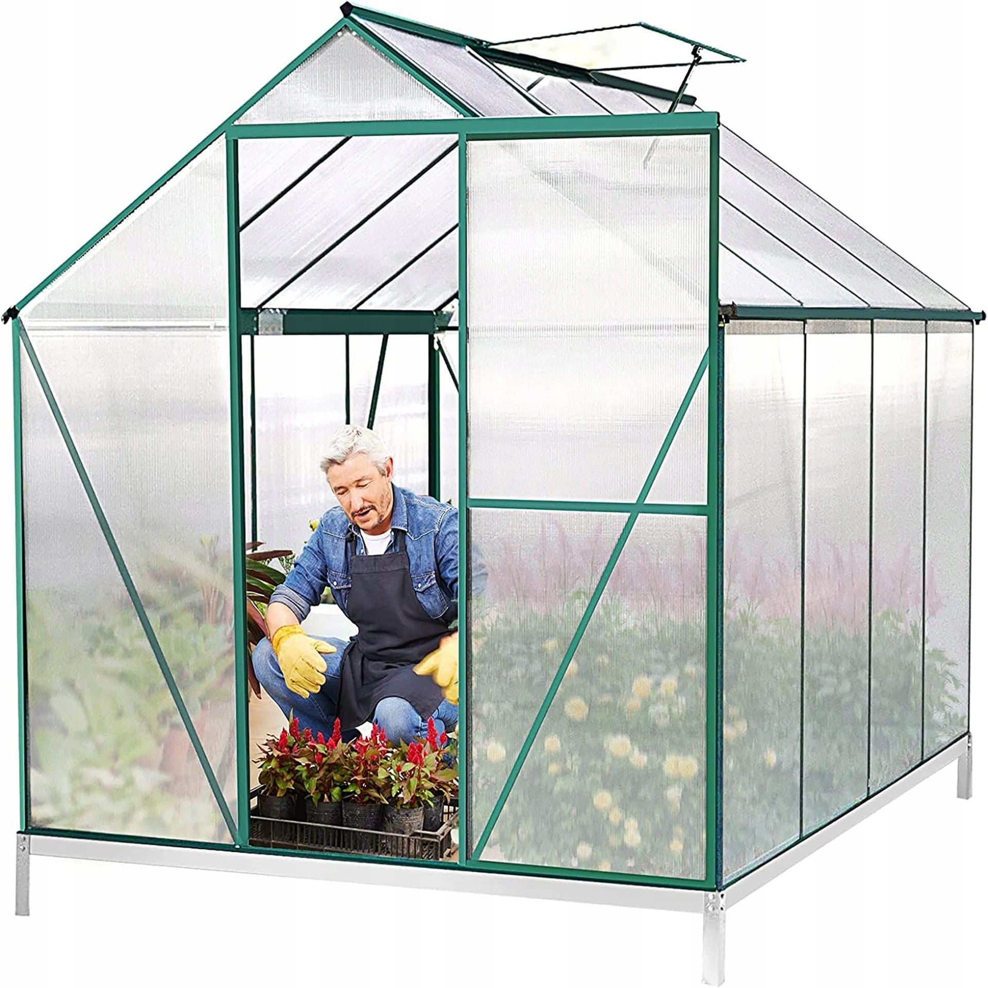 POLYCARBONATE GARDEN GREENHOUSE 248×187×210 CM GREEN ALUMINUM STRONG