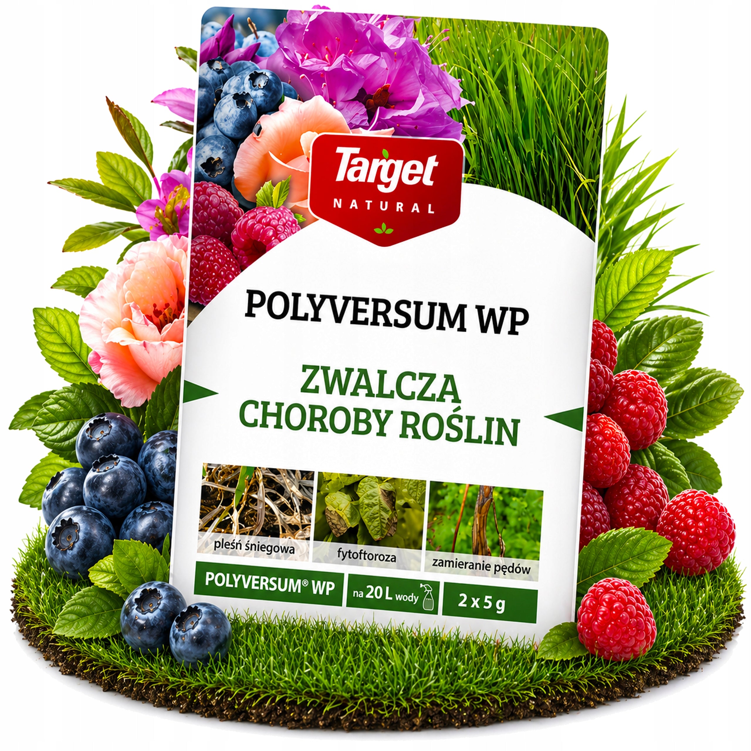 POLYVERSUM FUNGICIDAL AGENT MOLD LAWN SPRAYING FOR FUNGI 2 x 5G TARGET Form powder