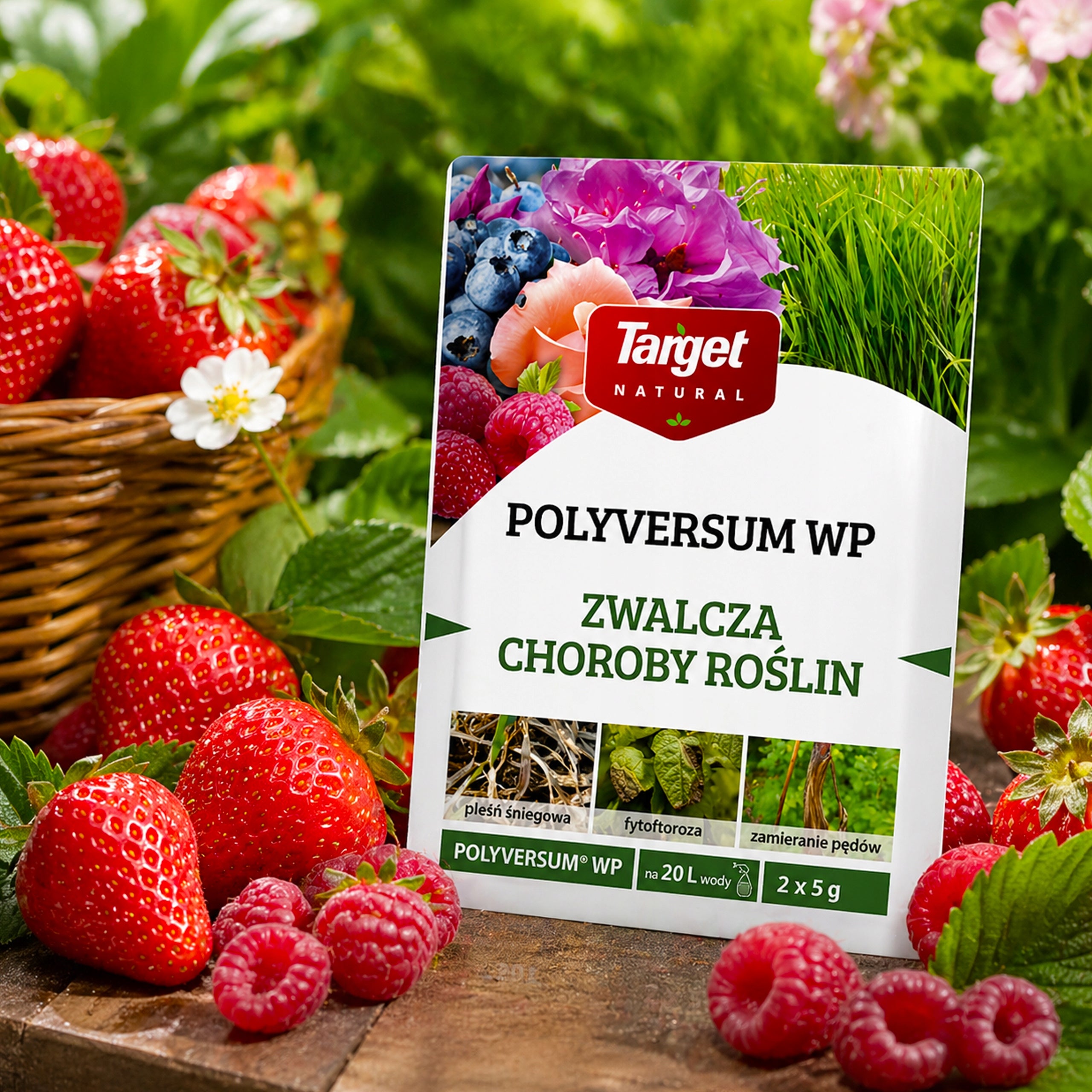 POLYVERSUM FUNGICIDAL AGENT MOLD LAWN SPRAYING FOR FUNGI 2 x 5G TARGET Manufacturer Target