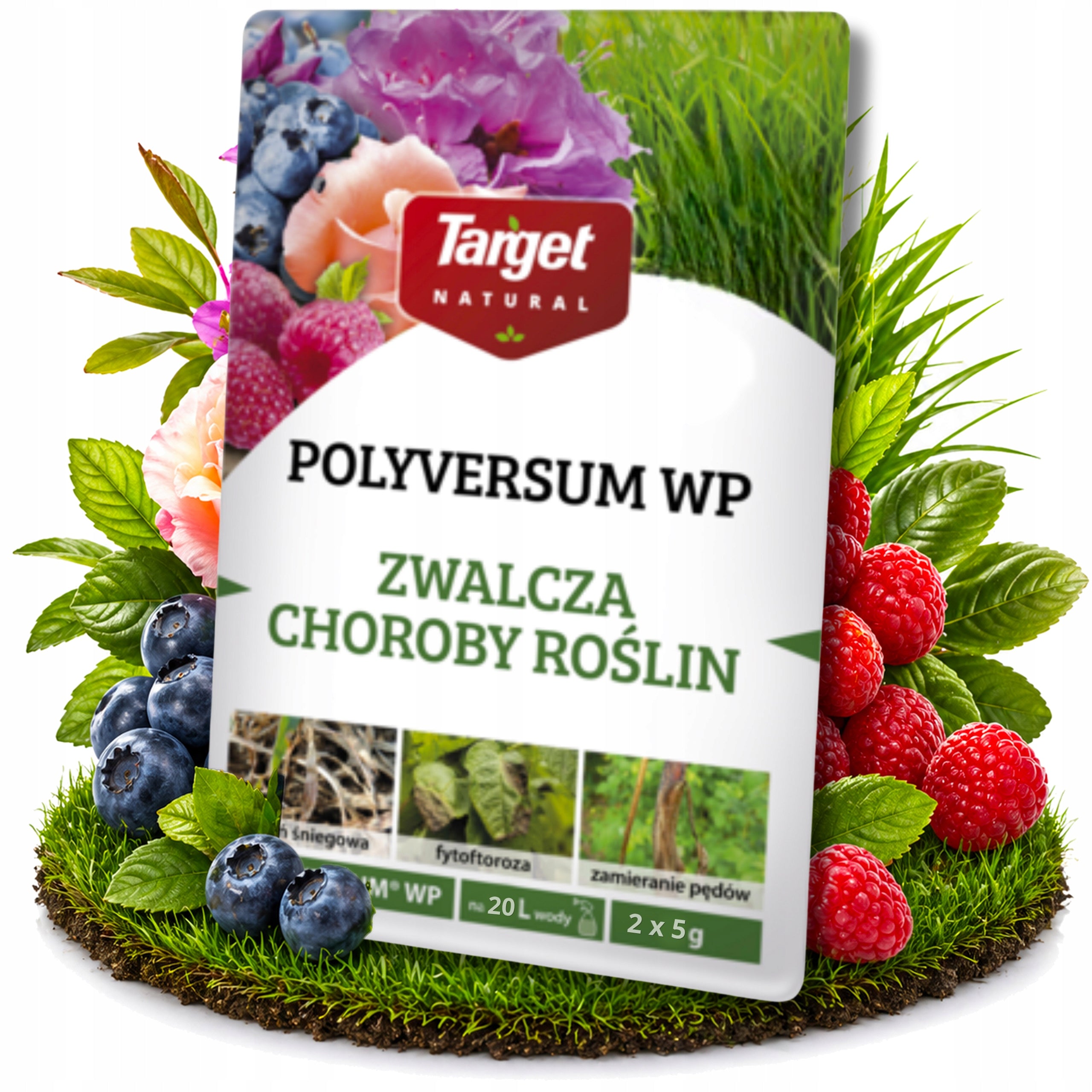 POLYVERSUM FUNGICIDAL AGENT MOLD LAWN SPRAYING FOR FUNGI 2 x 5G TARGET Packaging status original