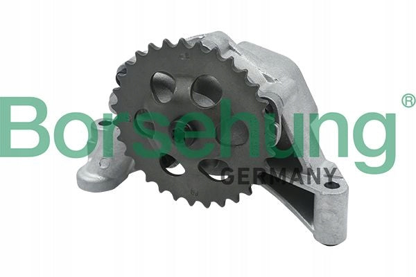 Alyvos siurblys Borsehung GmbH B12689, 1 vnt