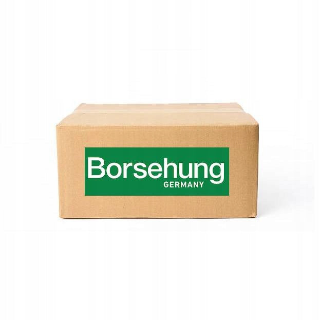 Alyvos siurblys Borsehung GmbH B12689, 1 vnt