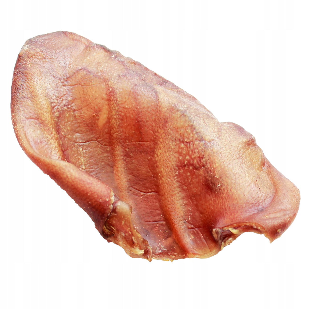 PORK EAR MEDIUM-1PCS DOG TEETHER