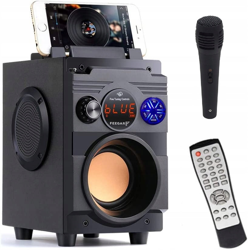 PORTABLE BLUETOOTH SPEAKER Feegar Showjet 4000mah AUX RADIO USB + MICROPHONE