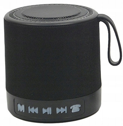 PORTABLE BLUETOOTH SPEAKER WSTER WS-887 - WIRELESS, FM RADIO