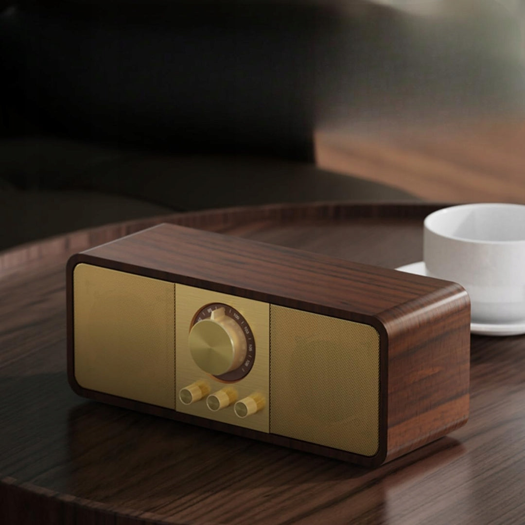 PORTABLE SPEAKER GENERIC JY-82 RADIO USB RETRO WIRELESS AUX DUAL Model other