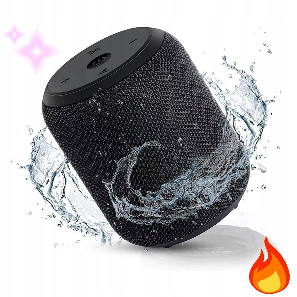 PORTABLE SPEAKER WITH AUX TF USB BLUETOOTH P PRO3 30W WITH BASS