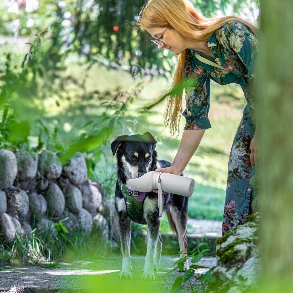 PORTABLE WATER BOTTLE FOR DOG WATER BOTTLE WITH BOWL DRINKER FOLDING 0,55 L Color gray