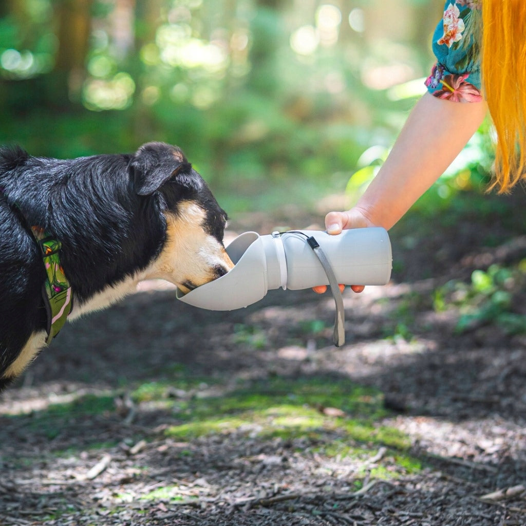 PORTABLE WATER BOTTLE FOR DOG WATER BOTTLE WITH BOWL DRINKER FOLDING 0,55 L Material silicone