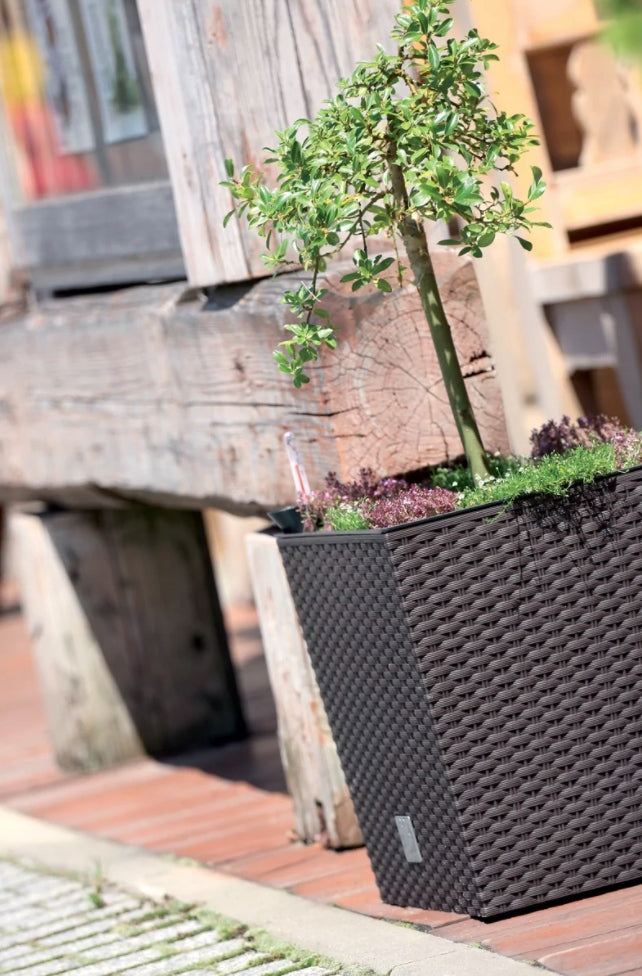POT LARGE GARDEN BALCONY TERRACE 32L RATTAN + INSERT BROWN ROTO LOW EAN (GTIN) 5905197796505