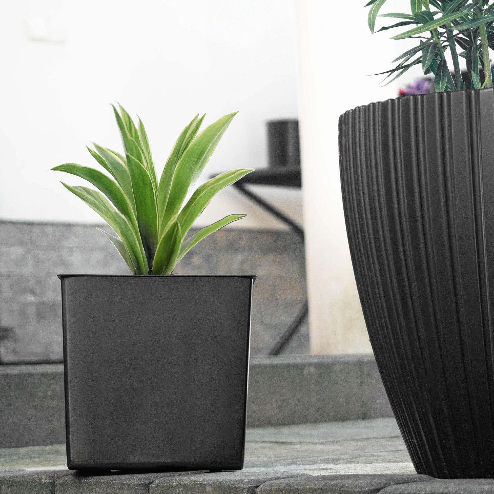 POT REFILL POT REFILLS 19 x19 cm SQUARE UNIVERSAL Length 19 cm