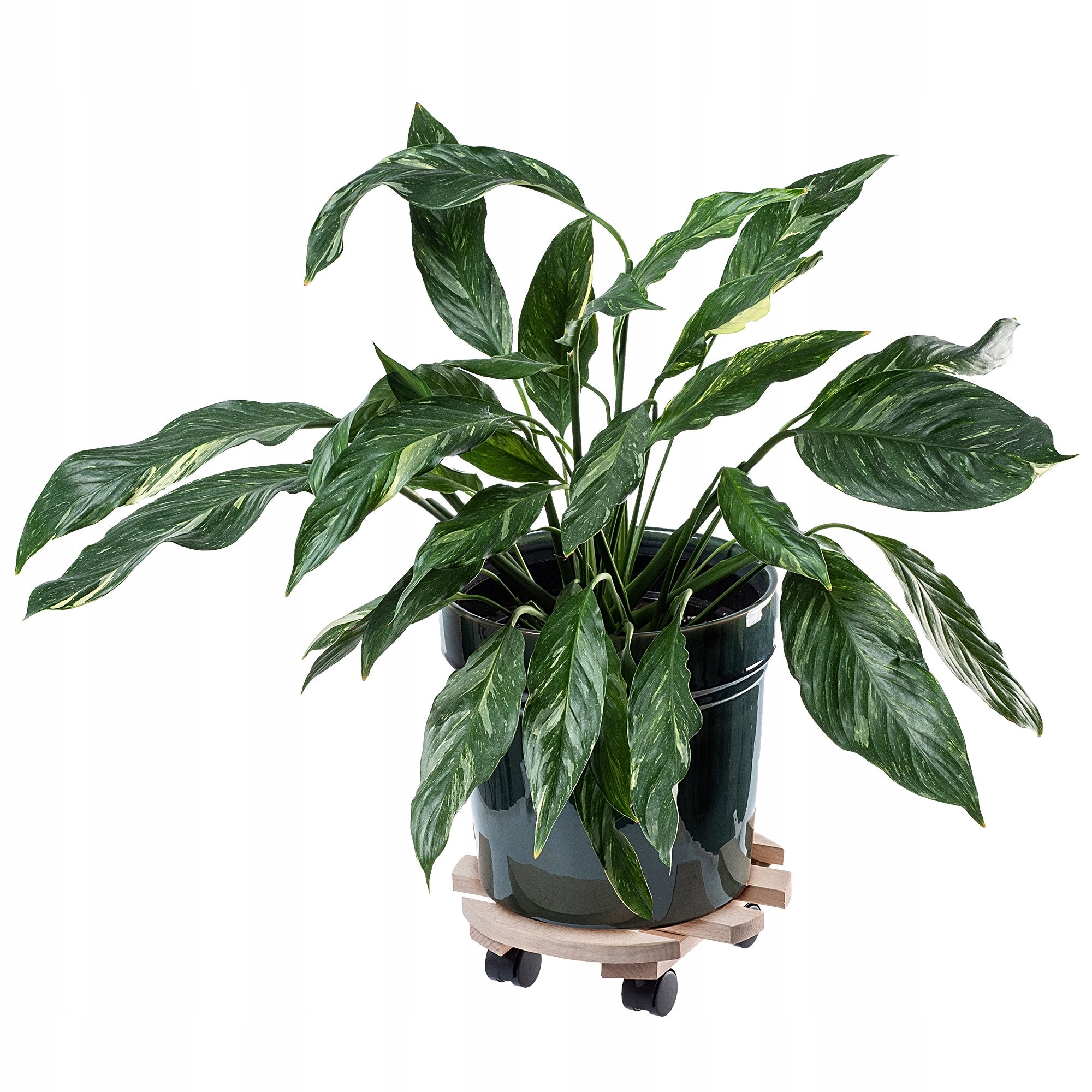 POT STAND PLANTER ON WHEELS WOODEN ROUND PLATFORM 30 cm Brand Kadax