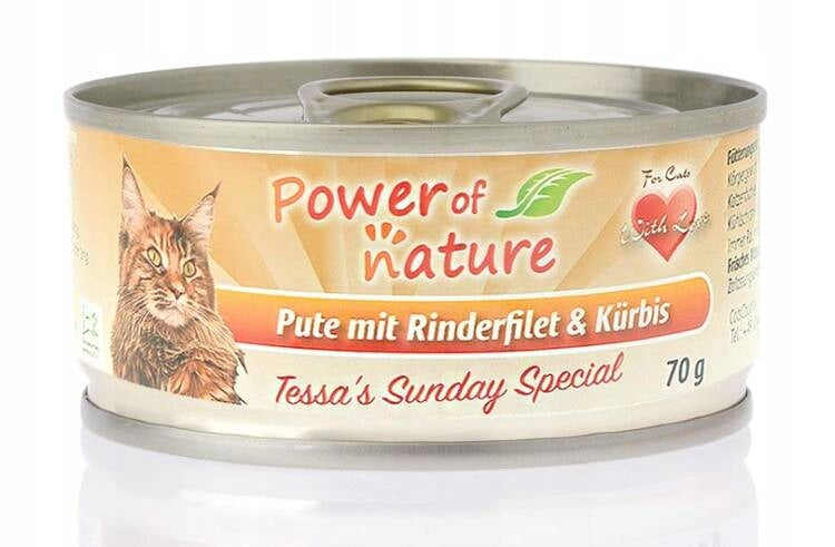 POWER OF NATURE TURKEY BEEF PUMPKIN 70g CAT FOOD