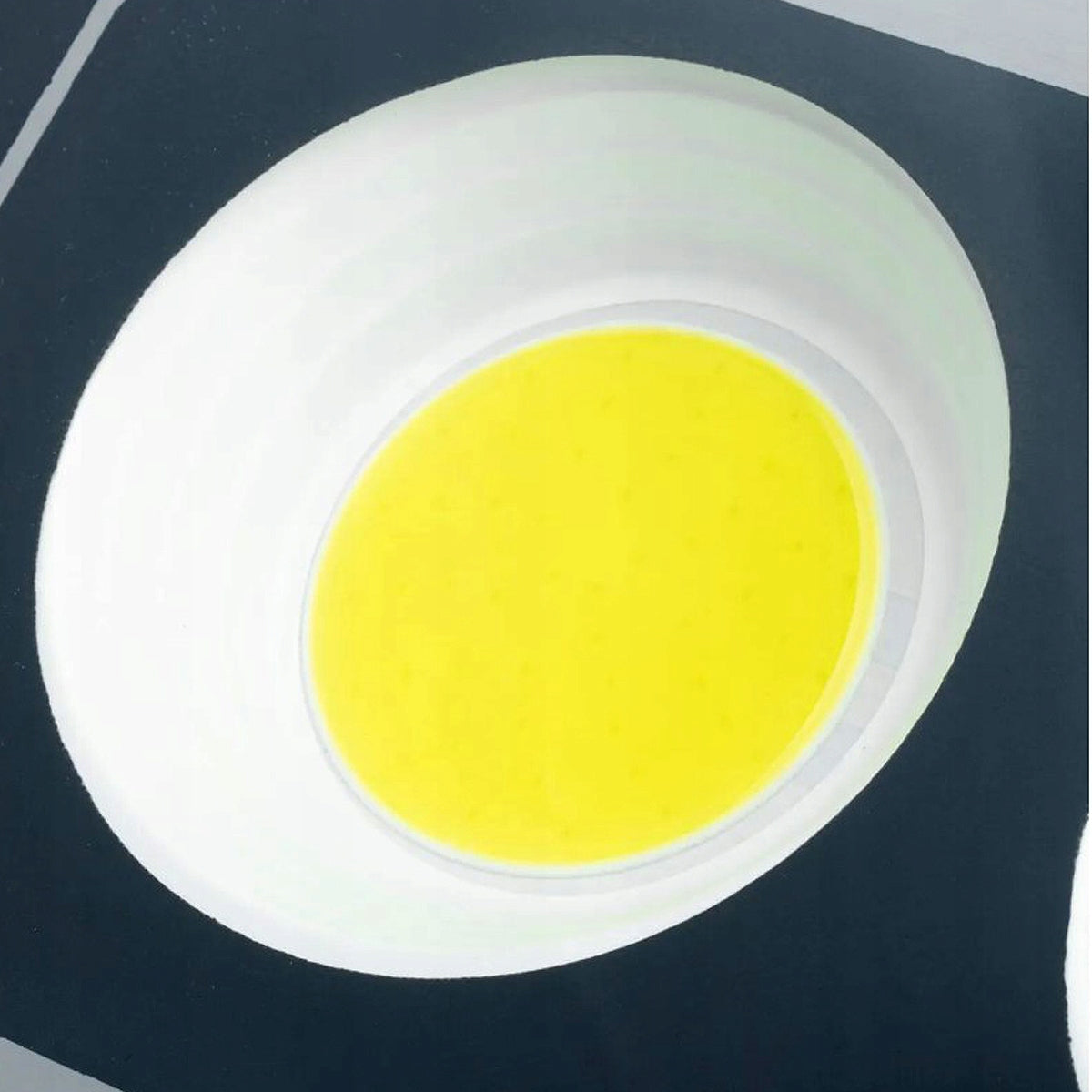 POWERFUL 800W HALOGEN COB FLOODLIGHT GARDEN SPOTLIGHT CONSTRUCTION LAMP 230V Manufacturer code 900 magazyn 700 oczka COB 300 500 ścienna 600