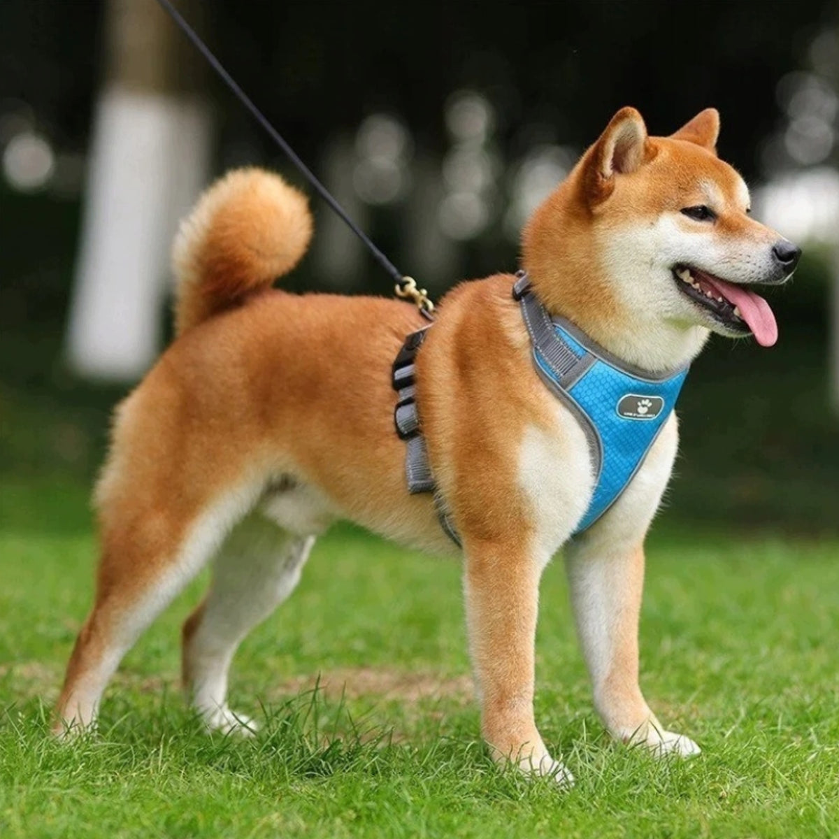 PREMIUM DOG HARNESS ROS. XL FOR BIG DOG REFLECTIVE VEST HARNESS Packaging status original