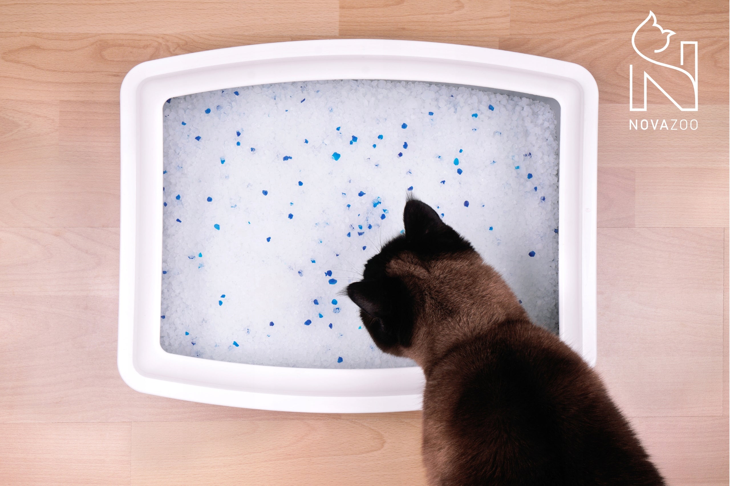 PREMIUM LAVENDER DUST-FREE SILICONE LITTER FOR CATS NOVAZOO 3.8L Brand no brand