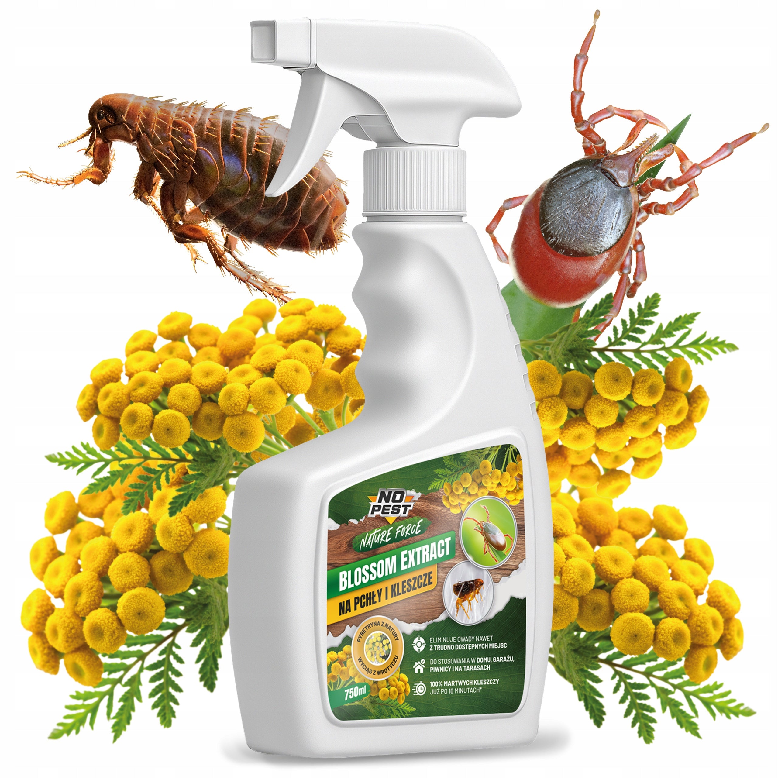 PREPARATION SPRAY AGENT FOR FLEAS TICKS EXTRACT 750ML TANSY