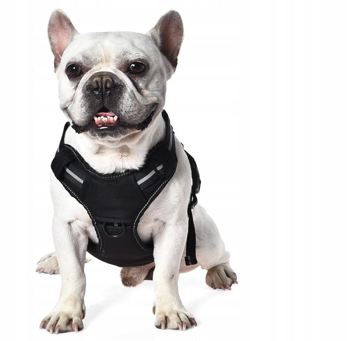PRESSURE-FREE ADJUSTABLE DOG HARNESS WITH REFLECTORS AMAZON BASICS ROZ M Packaging status original