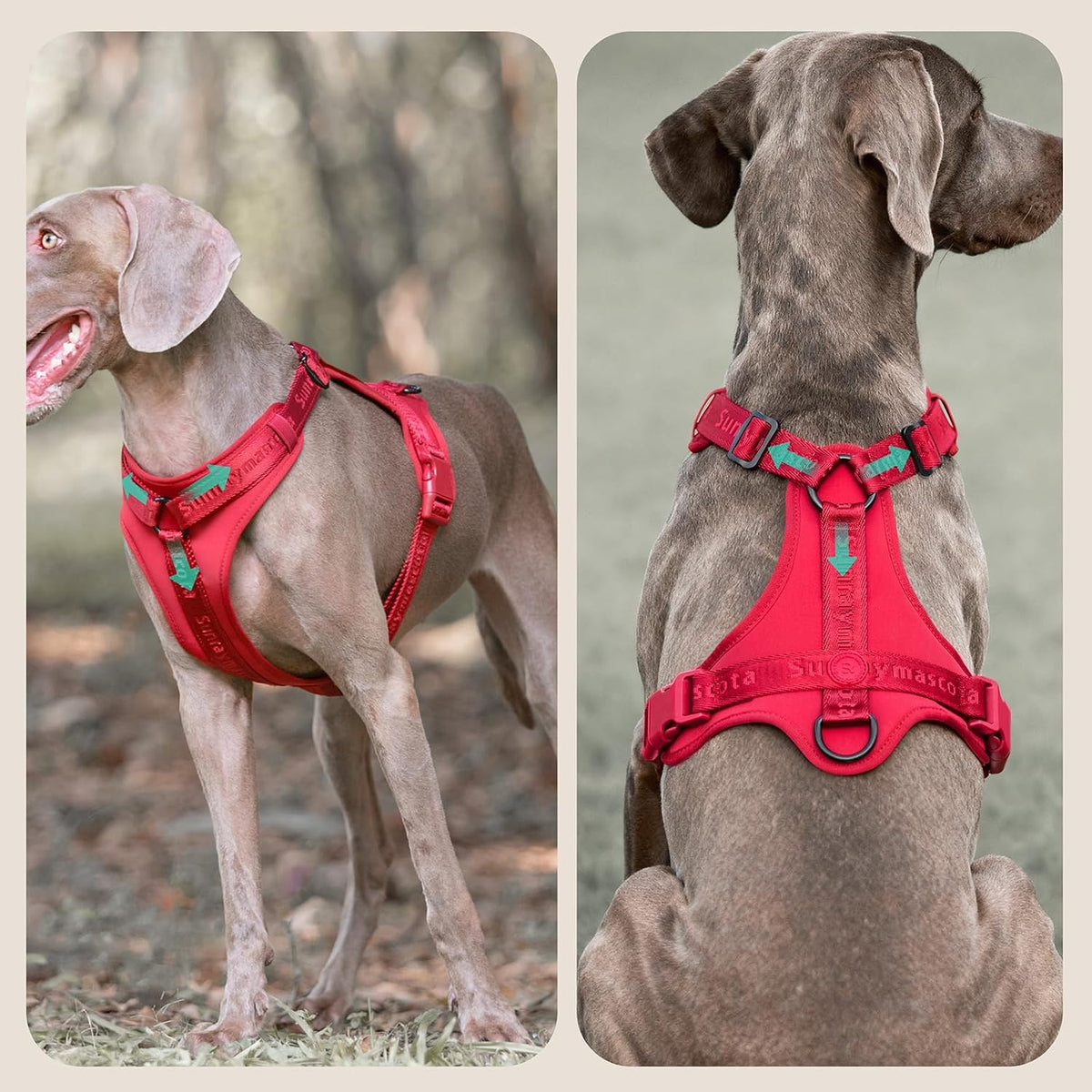 PRESSURE-FREE DOG HARNESS NO PULL BREATHABLE ADJUSTABLE S BURGUNDY Packaging status original