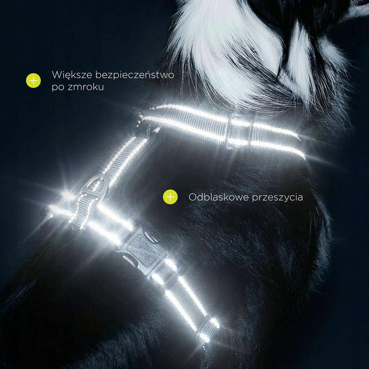 PRESSURE-FREE DOG HARNESS PROFESSIONAL STRONG REFLECTIVE FOR SMALL DOG XS Packaging status original