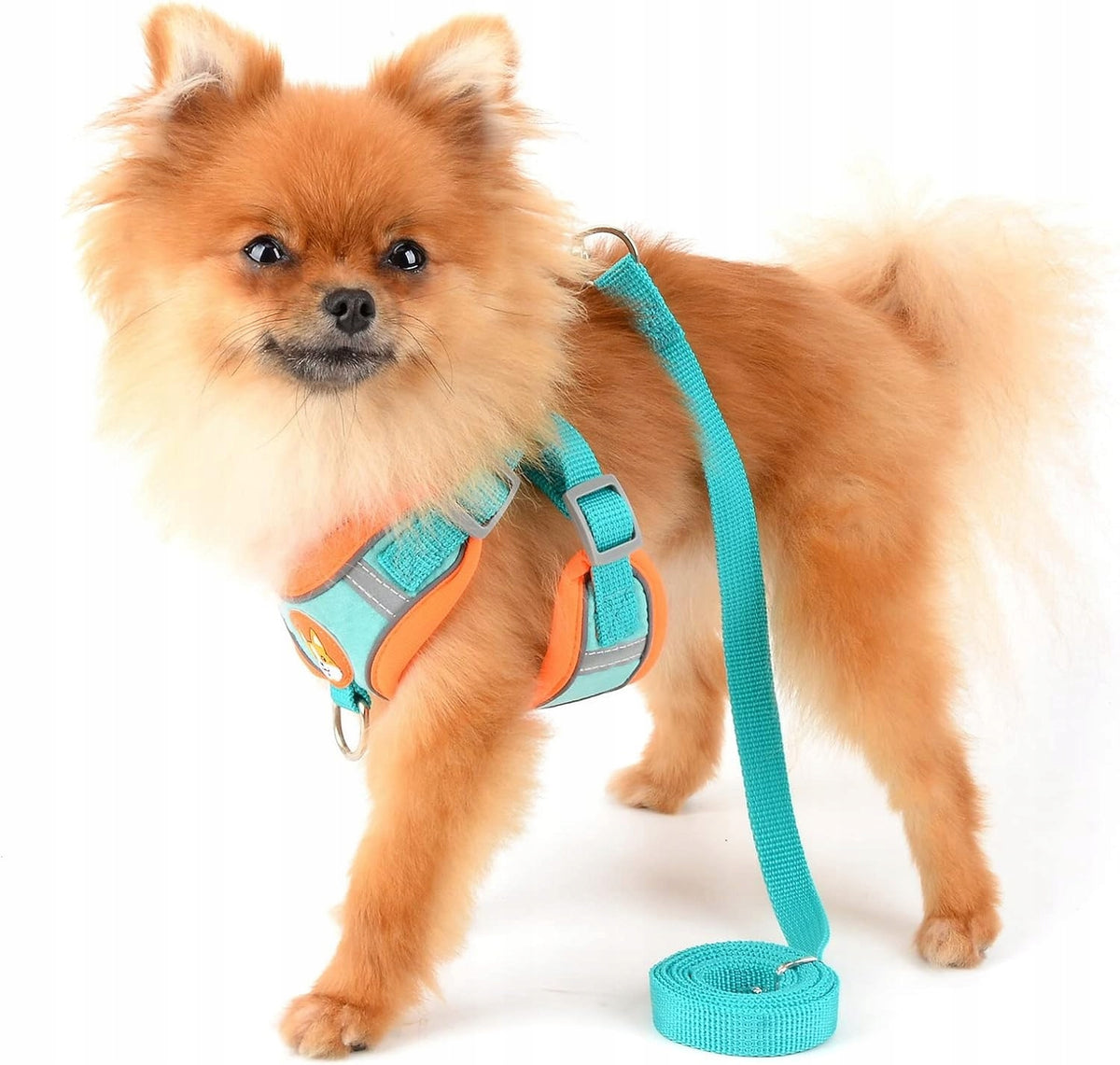 PRESSURE-FREE DOG HARNESS WALKING COMFORTABLE L + LEASH SET Manufacturer code Szelki Niebieskie Dla Kota lub psa L