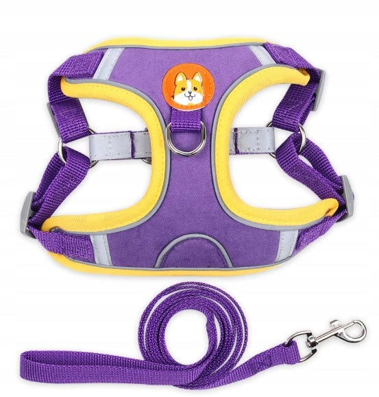 PRESSURE-FREE DOG HARNESS WALKING COMFORTABLE M + LEASH SET