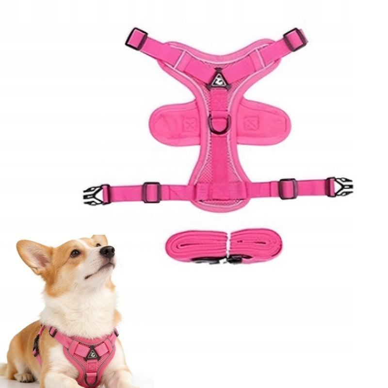 PRESSURE-FREE GUARD BRACES + LEASH S