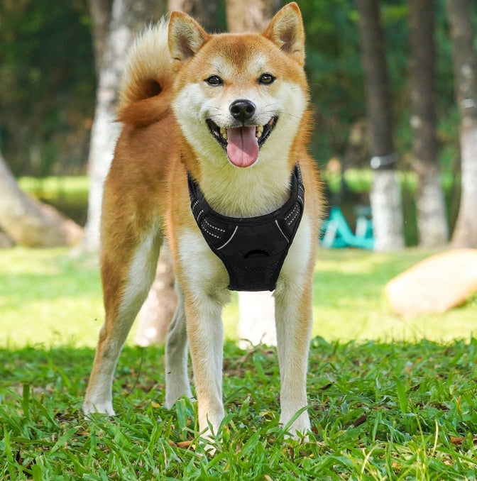 PRESSURE-FREE GUARD HARNESS FOR BIG DOG DOGA STRONG SOFT SIZE L Brand no brand