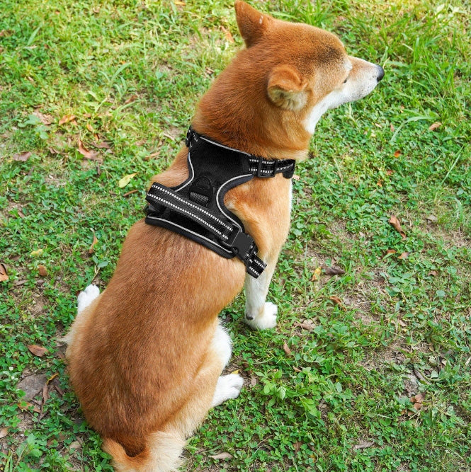 PRESSURE-FREE GUARD HARNESS FOR BIG DOG DOGA STRONG SOFT SIZE L EAN (GTIN) 5906022628503