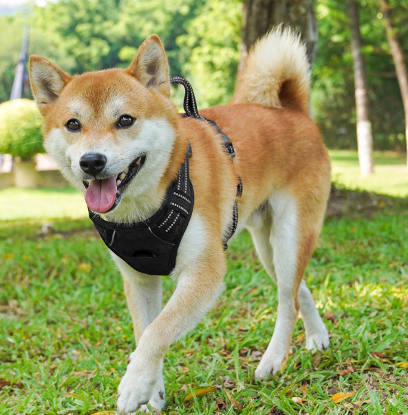 PRESSURE-FREE GUARD HARNESS FOR BIG DOG DOGA STRONG SOFT SIZE L Manufacturer code SM.GU.ZB.dwL.black